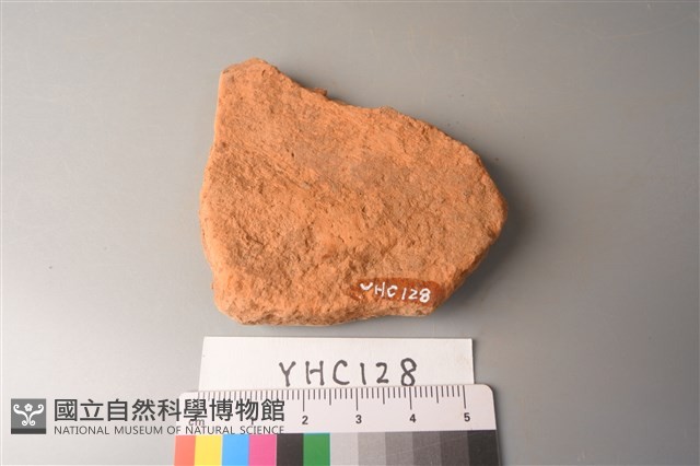 陶片藏品圖，第2張