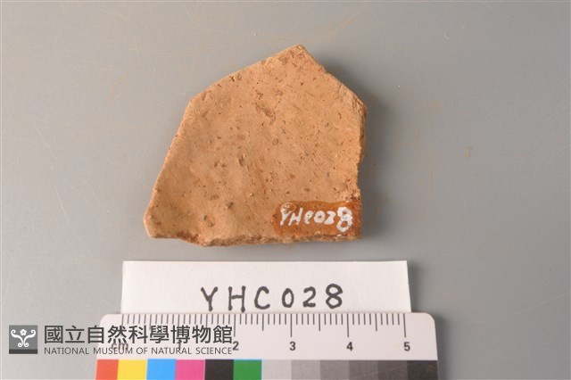 陶片藏品圖，第2張