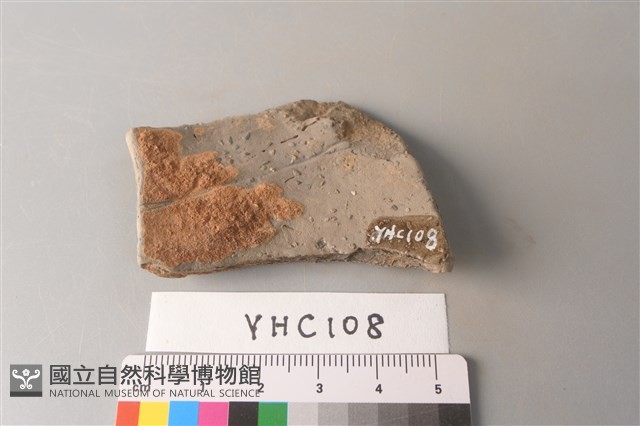 陶片藏品圖，第2張