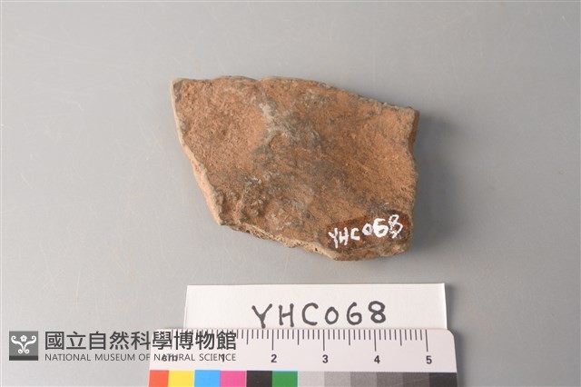 陶片藏品圖，第2張