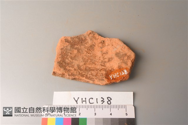 陶片藏品圖，第2張