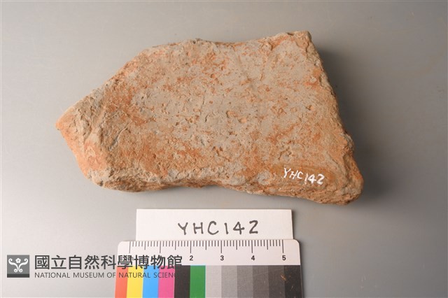 陶片藏品圖，第2張