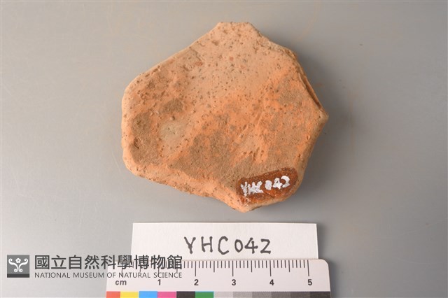 陶片藏品圖，第2張