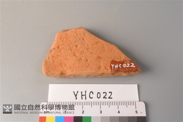 陶片藏品圖，第2張