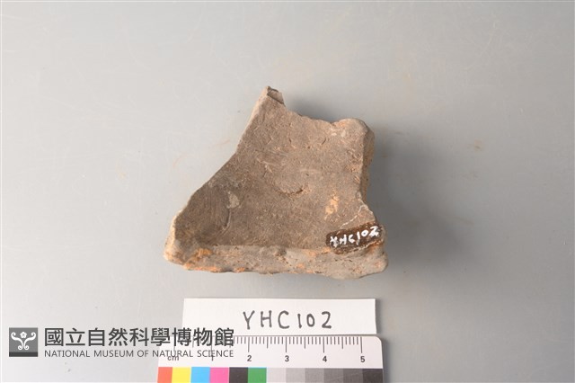 陶片藏品圖，第2張