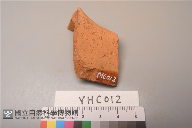 陶片藏品圖，第2張
