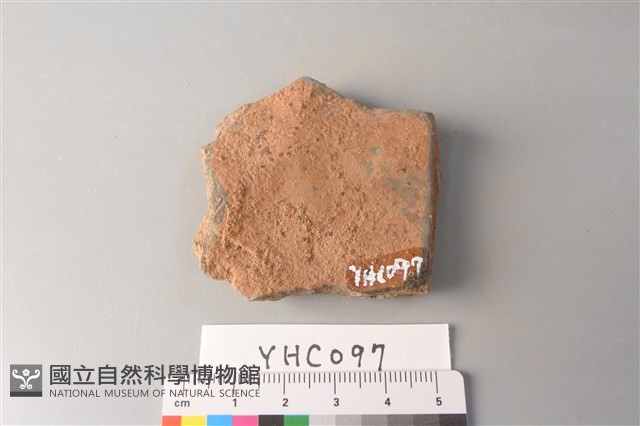 陶片藏品圖，第2張
