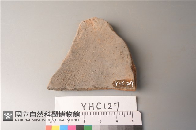 陶片藏品圖，第2張