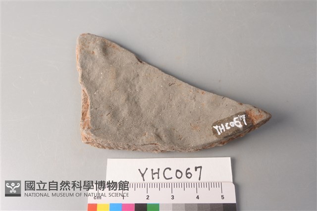 陶片藏品圖，第2張