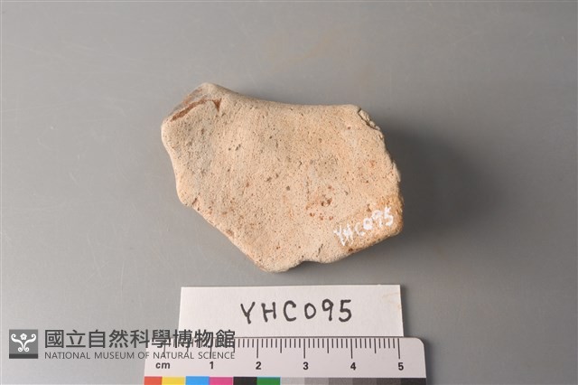 陶片藏品圖，第2張