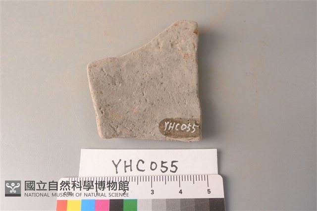 陶片藏品圖，第2張