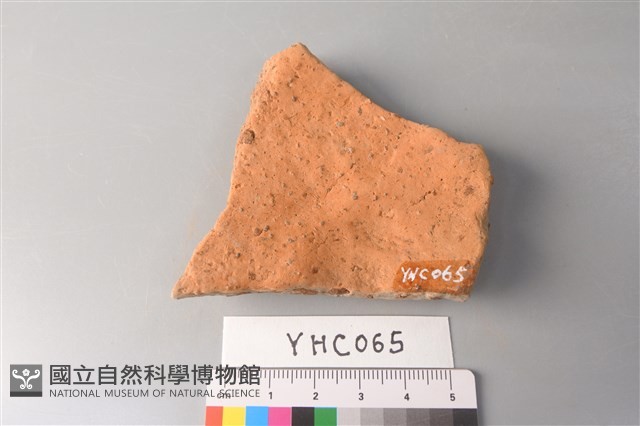 陶片藏品圖，第2張