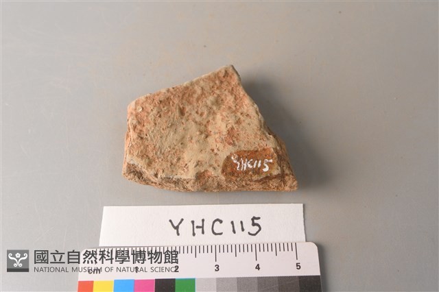 陶片藏品圖，第2張