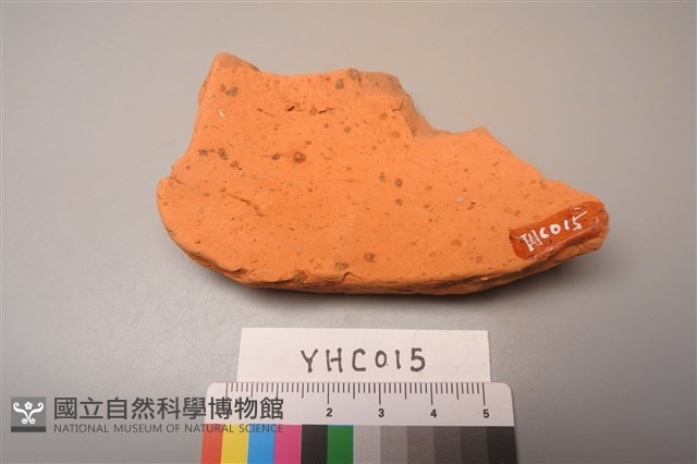 陶片藏品圖，第2張