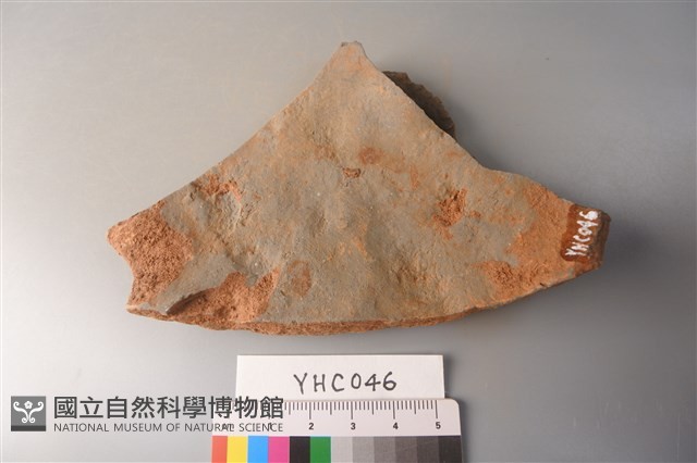 陶片藏品圖，第2張