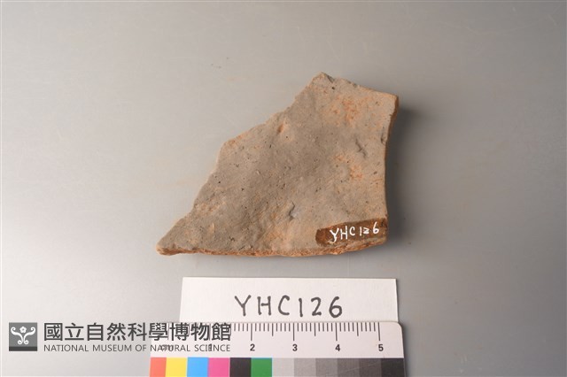 陶片藏品圖，第2張