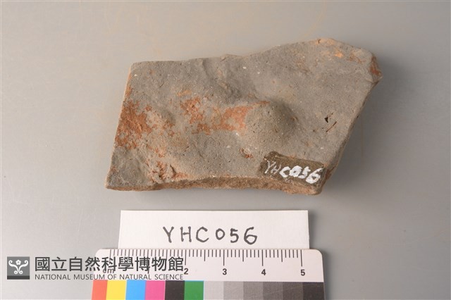 陶片藏品圖，第2張