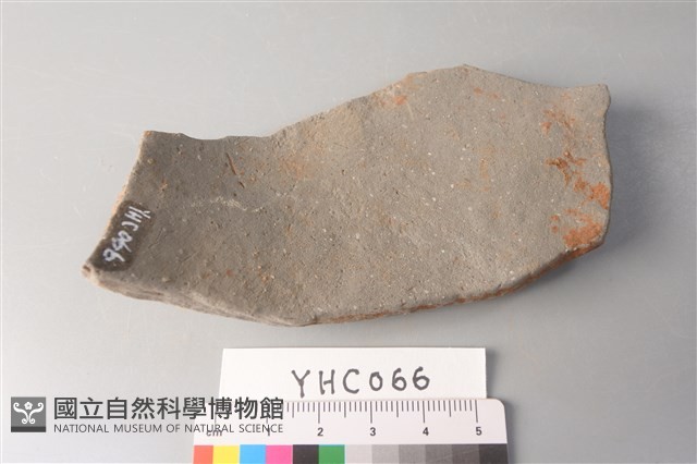 陶片藏品圖，第2張