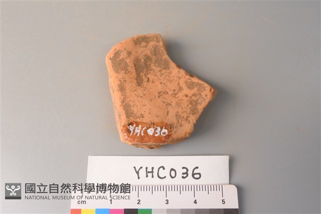 陶片藏品圖，第2張