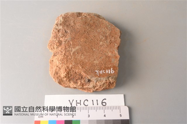 陶片藏品圖，第2張