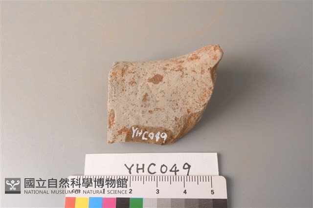 陶片藏品圖，第2張