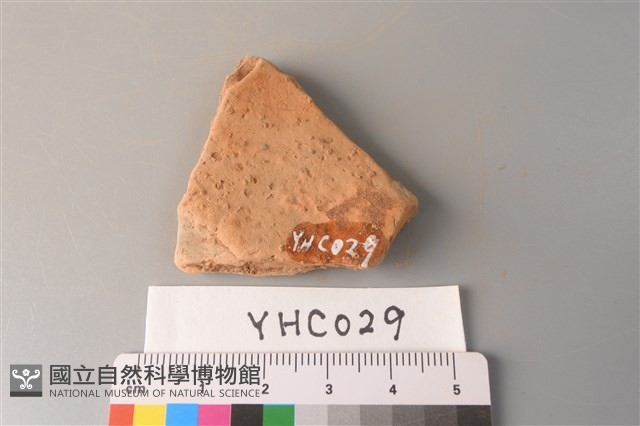 陶片藏品圖，第2張