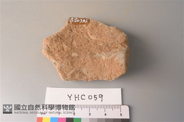 陶片藏品圖，第2張