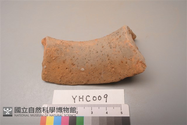 陶片藏品圖，第2張