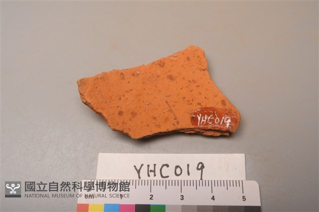 陶片藏品圖，第2張