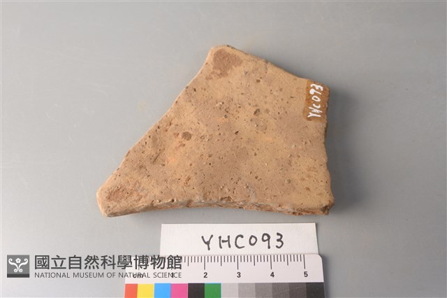 陶片藏品圖，第4張