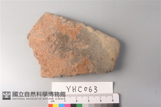 陶片藏品圖，第4張