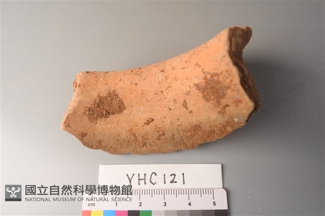 陶片藏品圖，第4張