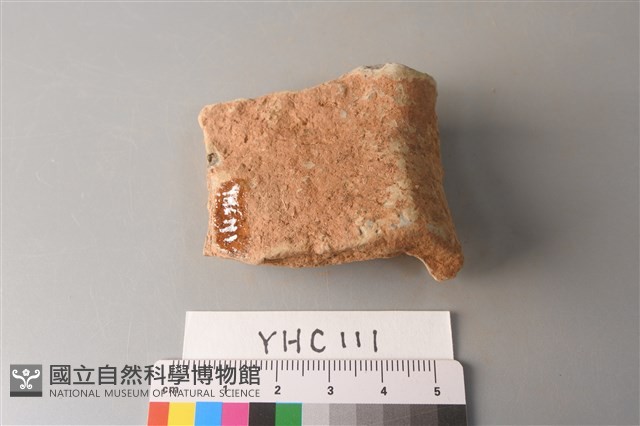 陶片藏品圖，第4張