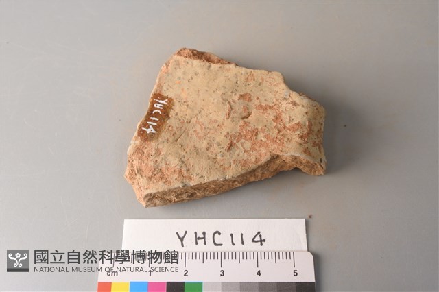 陶片藏品圖，第4張