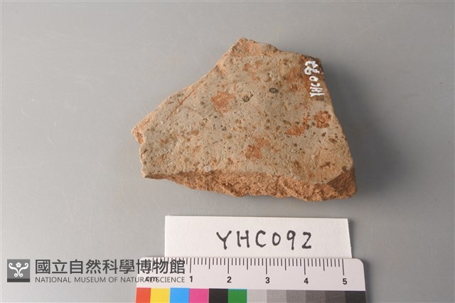 陶片藏品圖，第4張