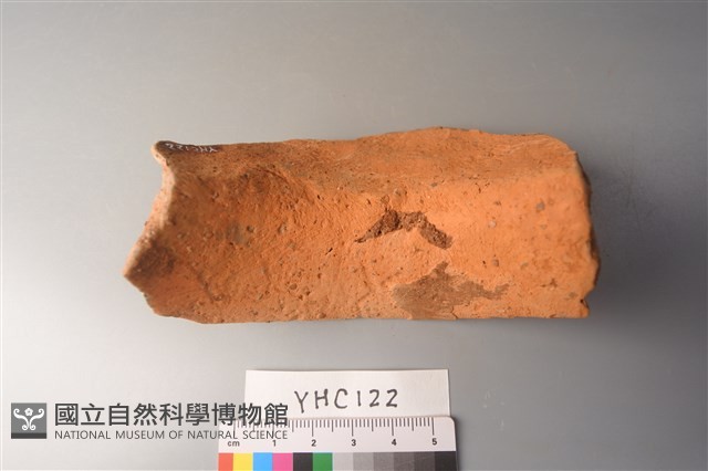 陶片藏品圖，第4張