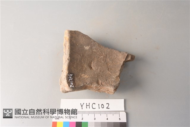 陶片藏品圖，第4張