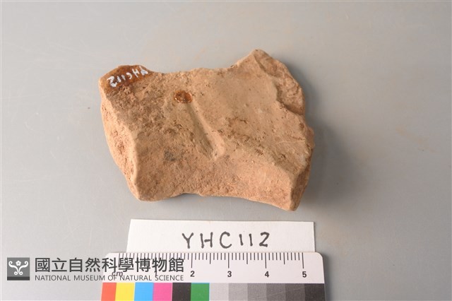 陶片藏品圖，第4張