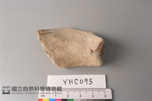 陶片藏品圖，第4張