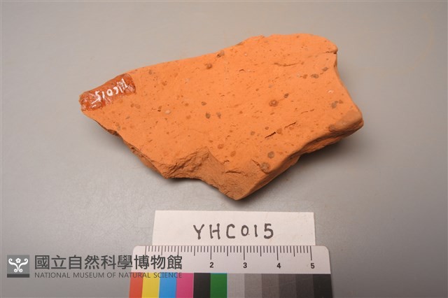 陶片藏品圖，第4張