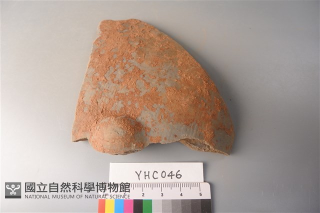 陶片藏品圖，第4張