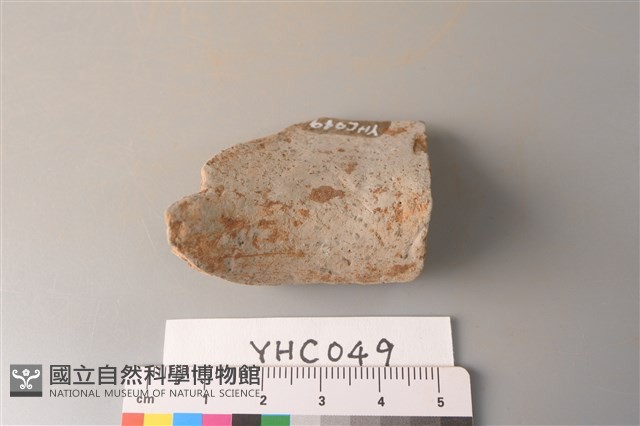 陶片藏品圖，第4張
