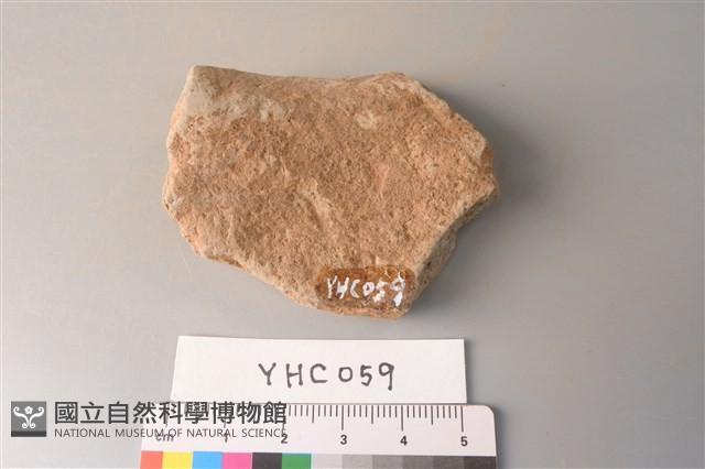 陶片藏品圖，第4張