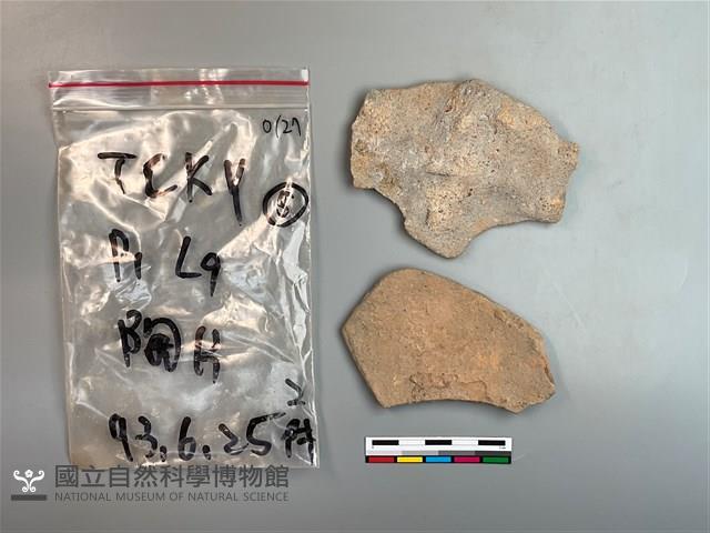 陶片藏品圖，第1張