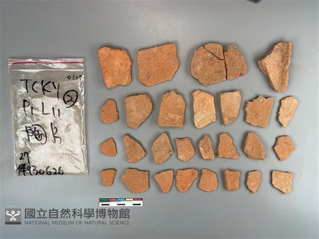 陶片藏品圖，第1張