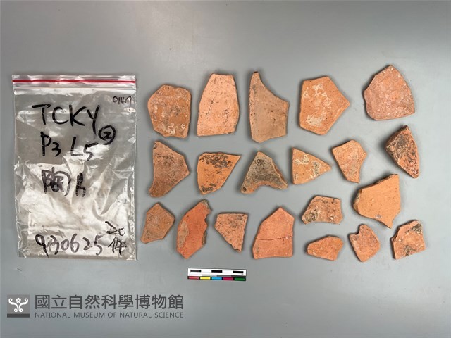 陶片藏品圖，第1張