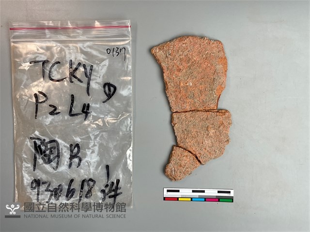 陶片藏品圖，第1張