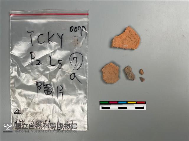 陶片藏品圖，第1張