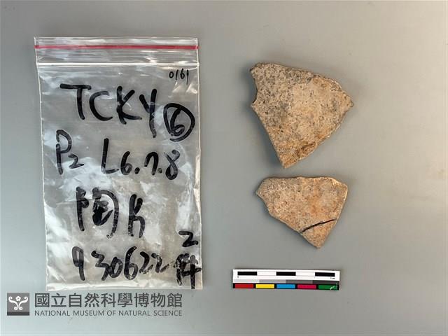 陶片藏品圖，第1張