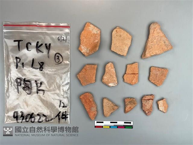 陶片藏品圖，第1張